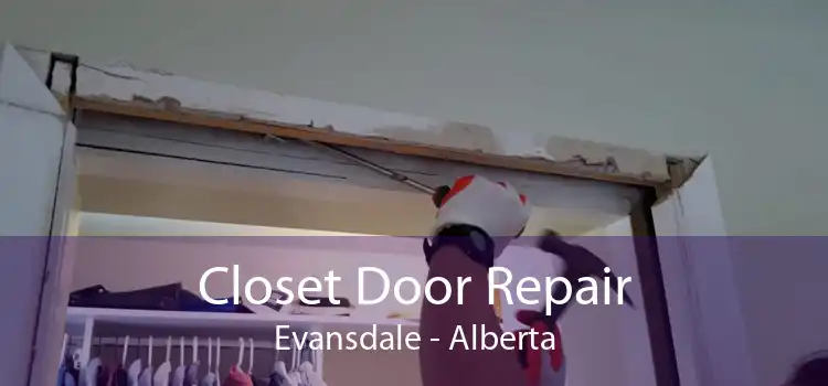 Closet Door Repair Evansdale - Alberta