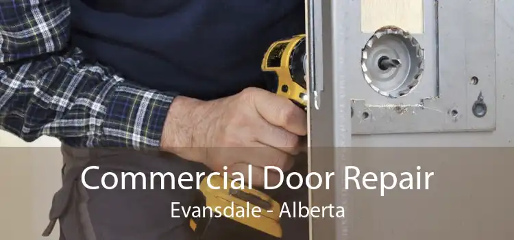 Commercial Door Repair Evansdale - Alberta