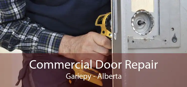 Commercial Door Repair Gariepy - Alberta