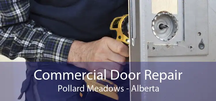 Commercial Door Repair Pollard Meadows - Alberta