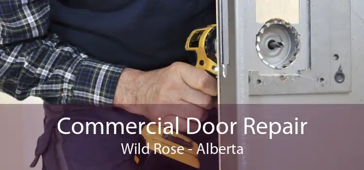 Commercial Door Repair Wild Rose - Alberta
