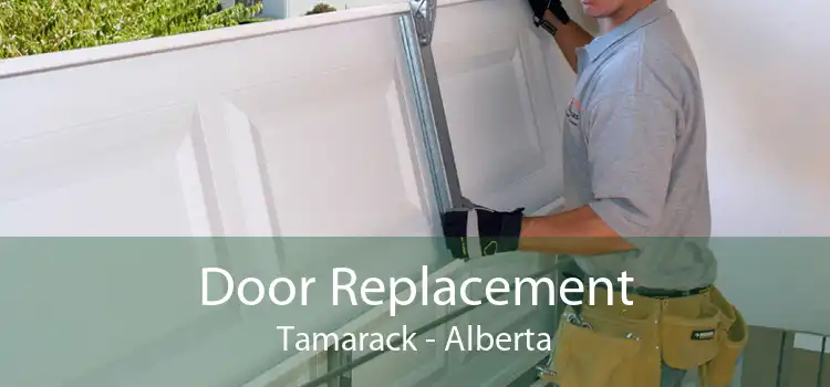 Door Replacement Tamarack - Alberta