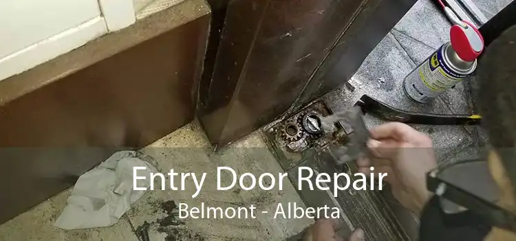 Entry Door Repair Belmont - Alberta