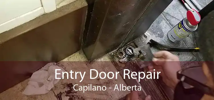 Entry Door Repair Capilano - Alberta