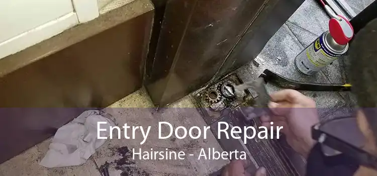 Entry Door Repair Hairsine - Alberta