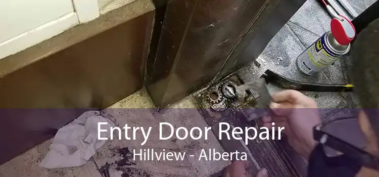 Entry Door Repair Hillview - Alberta