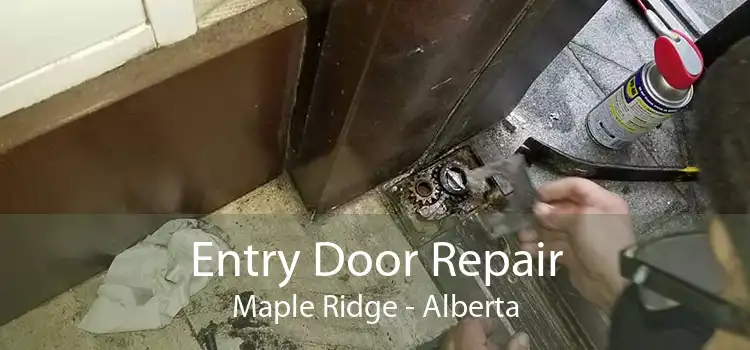 Entry Door Repair Maple Ridge - Alberta