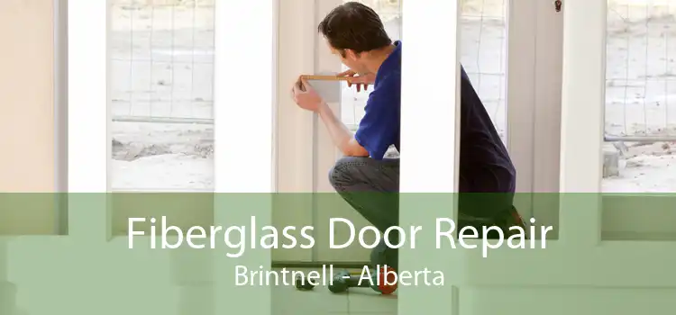 Fiberglass Door Repair Brintnell - Alberta