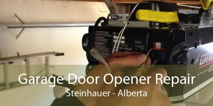 Garage Door Opener Repair Steinhauer - Alberta