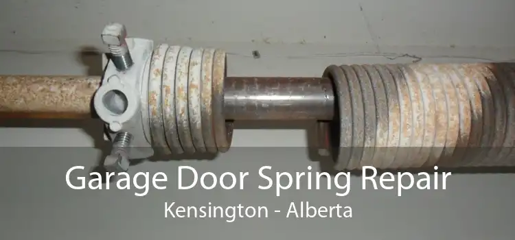Garage Door Spring Repair Kensington - Alberta