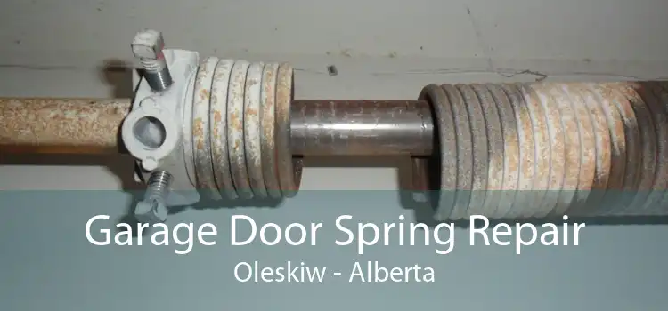 Garage Door Spring Repair Oleskiw - Alberta