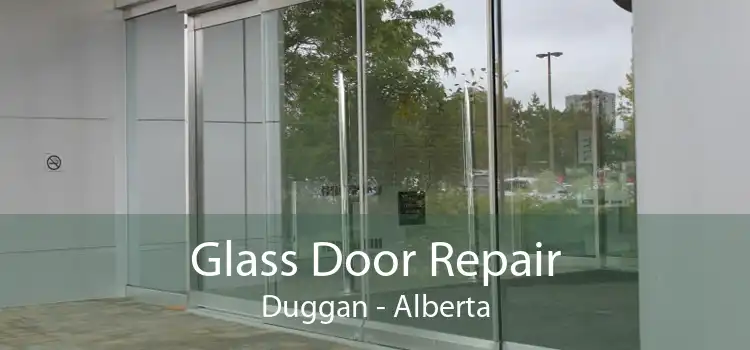 Glass Door Repair Duggan - Alberta