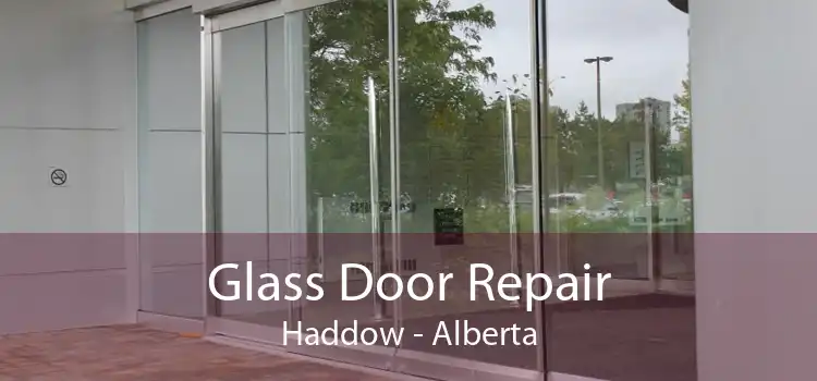 Glass Door Repair Haddow - Alberta