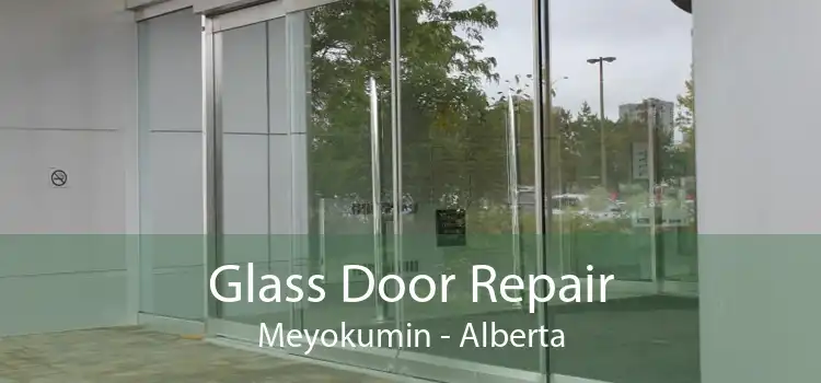 Glass Door Repair Meyokumin - Alberta