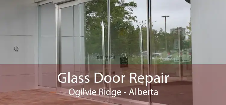 Glass Door Repair Ogilvie Ridge - Alberta