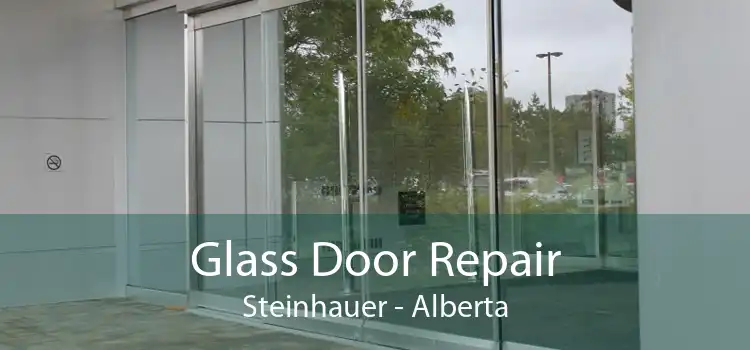 Glass Door Repair Steinhauer - Alberta