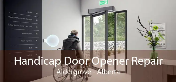 Handicap Door Opener Repair Aldergrove - Alberta