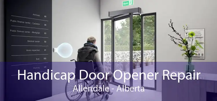 Handicap Door Opener Repair Allendale - Alberta
