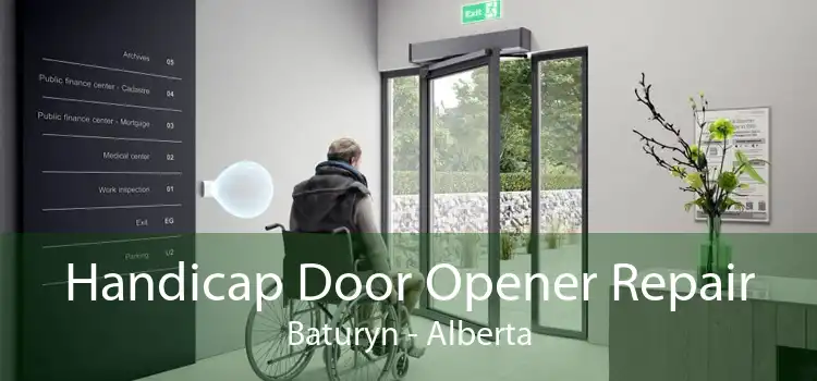 Handicap Door Opener Repair Baturyn - Alberta
