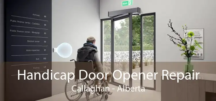 Handicap Door Opener Repair Callaghan - Alberta