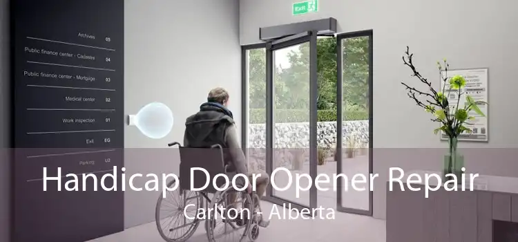 Handicap Door Opener Repair Carlton - Alberta