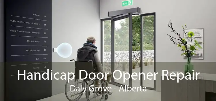 Handicap Door Opener Repair Daly Grove - Alberta