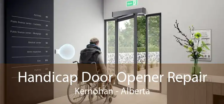 Handicap Door Opener Repair Kernohan - Alberta