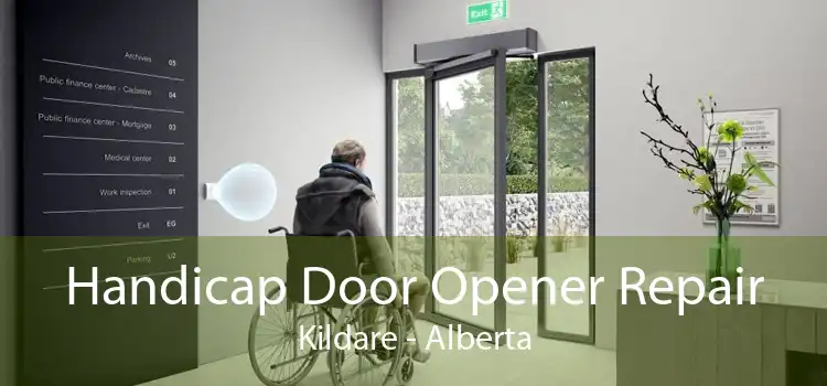 Handicap Door Opener Repair Kildare - Alberta