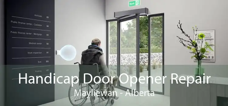 Handicap Door Opener Repair Mayliewan - Alberta