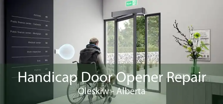 Handicap Door Opener Repair Oleskiw - Alberta
