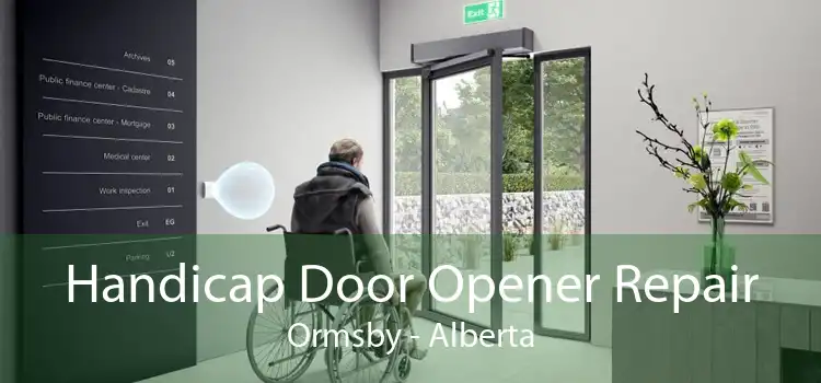 Handicap Door Opener Repair Ormsby - Alberta