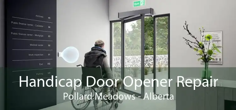 Handicap Door Opener Repair Pollard Meadows - Alberta