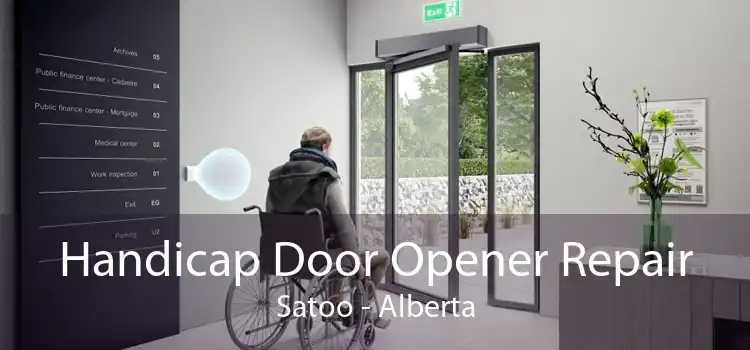 Handicap Door Opener Repair Satoo - Alberta