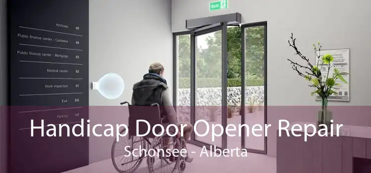 Handicap Door Opener Repair Schonsee - Alberta