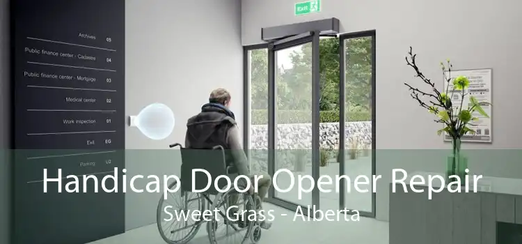 Handicap Door Opener Repair Sweet Grass - Alberta