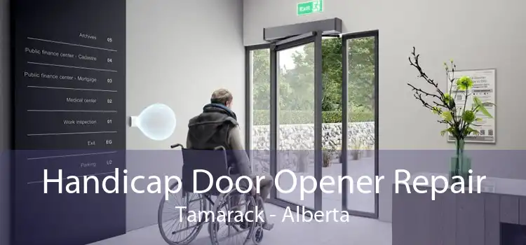 Handicap Door Opener Repair Tamarack - Alberta