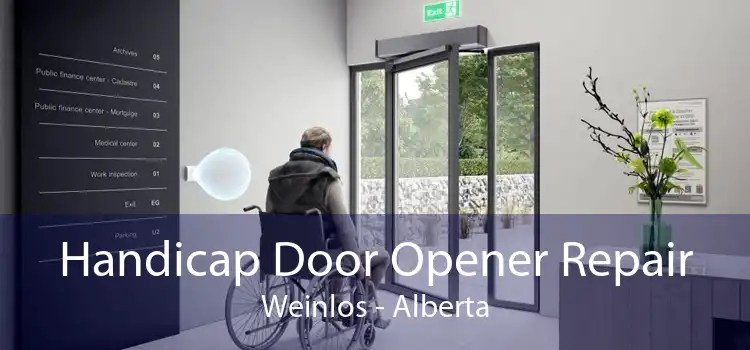 Handicap Door Opener Repair Weinlos - Alberta