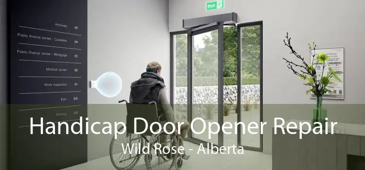 Handicap Door Opener Repair Wild Rose - Alberta