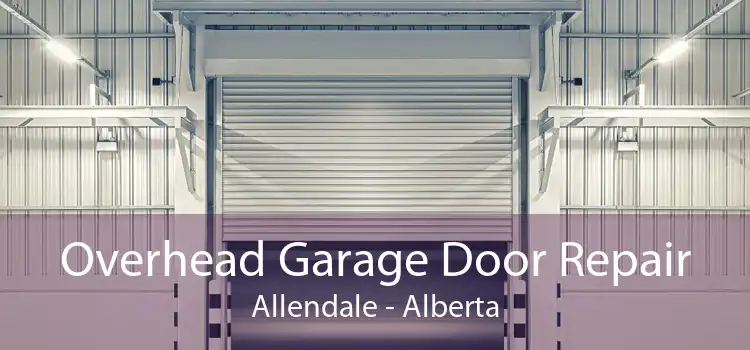 Overhead Garage Door Repair Allendale - Alberta