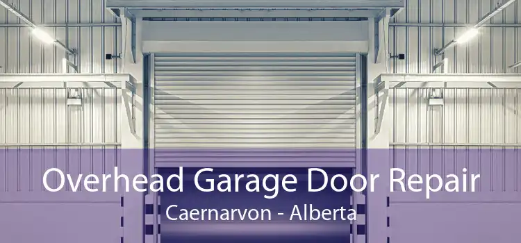 Overhead Garage Door Repair Caernarvon - Alberta