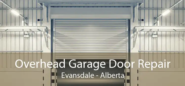 Overhead Garage Door Repair Evansdale - Alberta