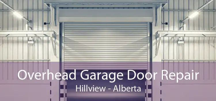 Overhead Garage Door Repair Hillview - Alberta