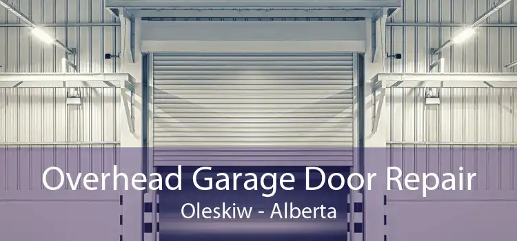 Overhead Garage Door Repair Oleskiw - Alberta
