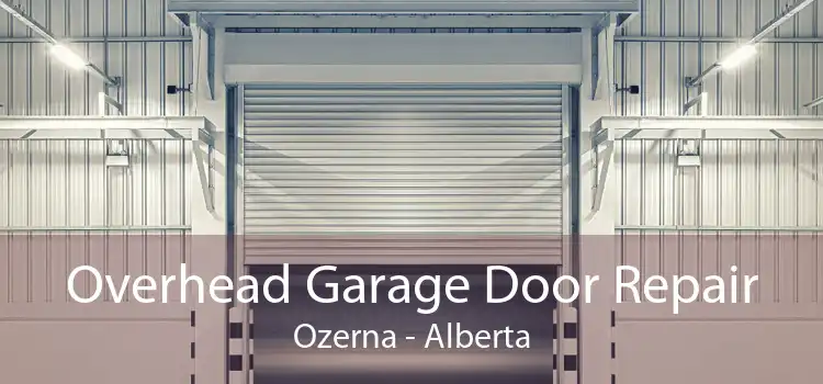 Overhead Garage Door Repair Ozerna - Alberta