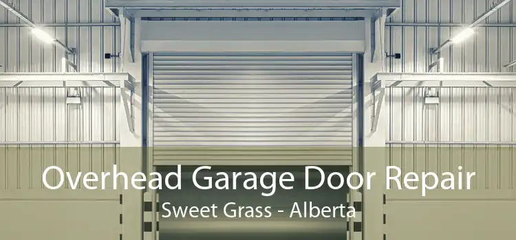 Overhead Garage Door Repair Sweet Grass - Alberta