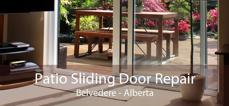Patio Sliding Door Repair Belvedere - Alberta
