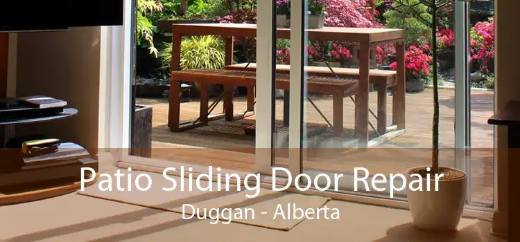Patio Sliding Door Repair Duggan - Alberta