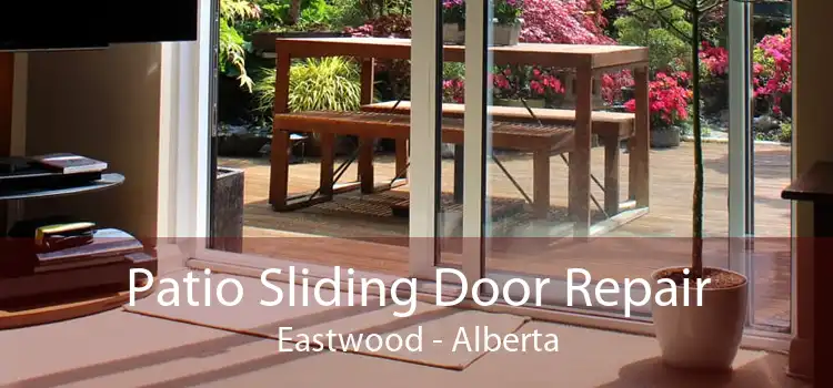 Patio Sliding Door Repair Eastwood - Alberta
