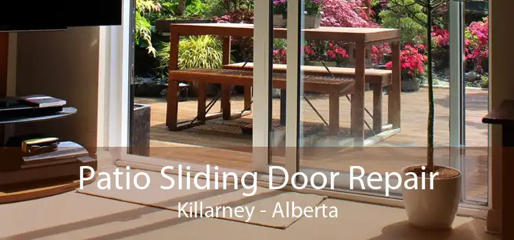 Patio Sliding Door Repair Killarney - Alberta