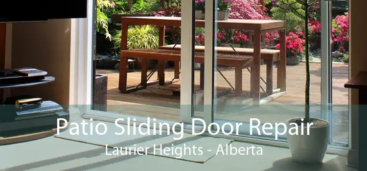 Patio Sliding Door Repair Laurier Heights - Alberta